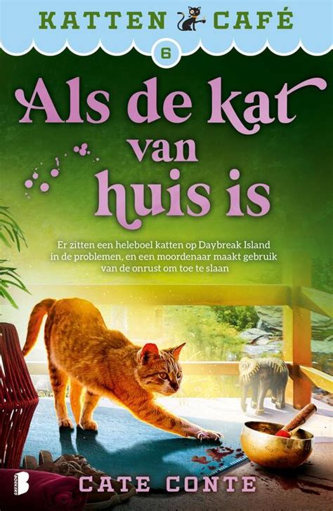 Here we go again.. maak af: “ALS DE KAT VAN HUIS IS